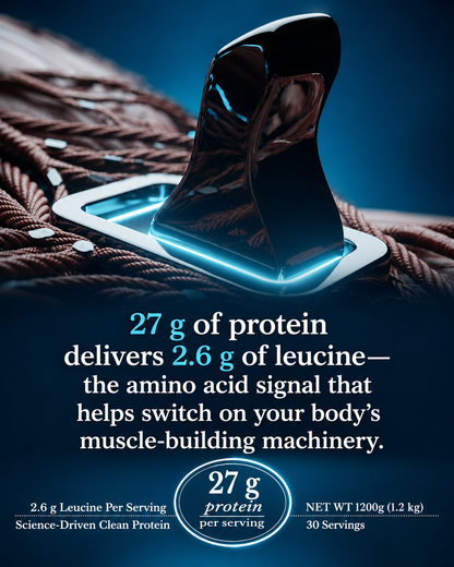 Double Cocoa Whey Protein